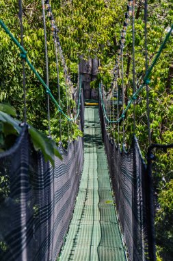 Mountain Top Park Kosta Rika 'da Asılı Köprüler