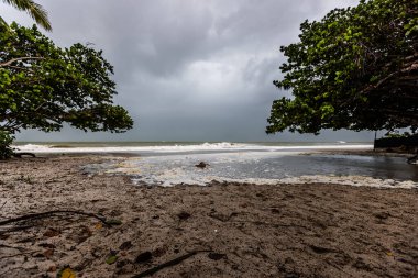 Tropikal Napoli Plajı Florida