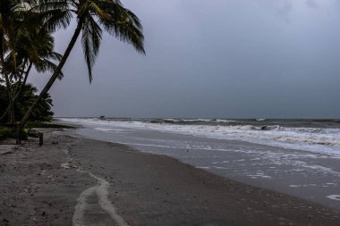 Tropikal Napoli Plajı Florida