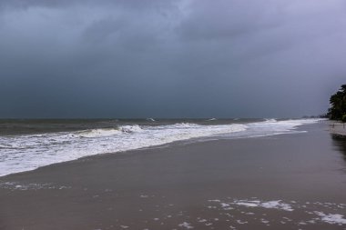 Tropikal Napoli Plajı Florida