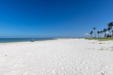 Kuzey Napoli Plajı Florida