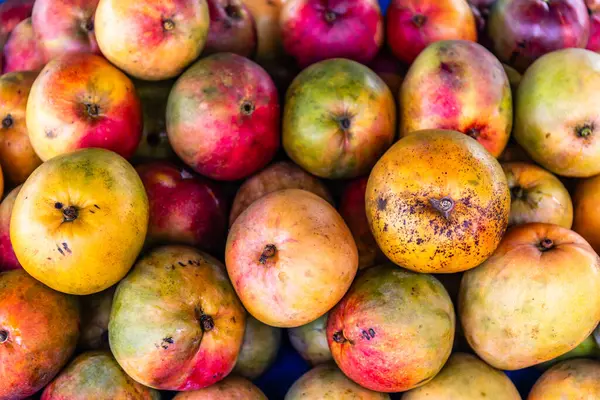 Quepos Çiftçi Pazarı 'nda mango.