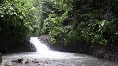 Yağmur yağdıran şelaleler ve yüzme çukurları. Yağmur Yapıcı Koruma Parkı. Kosta Rika