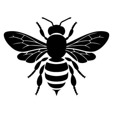 Siluet tarzında bir siyah arı ikonunun vektör çizimi. Bal arısı ikonu, bal arısı beyaz arka planda izole edilmiş. Beyaz Arkaplanda Siyah ve Beyaz Arı Silueti.