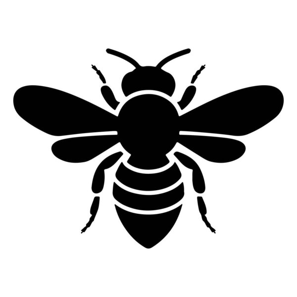 векторная иллюстрация иконы черной пчелы в стиле силуэтов. Медовая пчела, медовая пчела изолирована на белом фоне. Черно-белый силуэт пчелы на белом фоне.