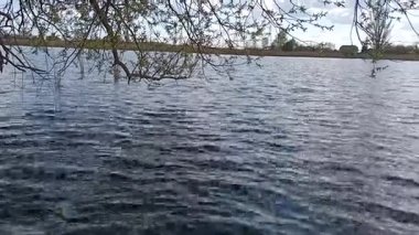 Parktaki nehrin güzel bir görüntüsü.