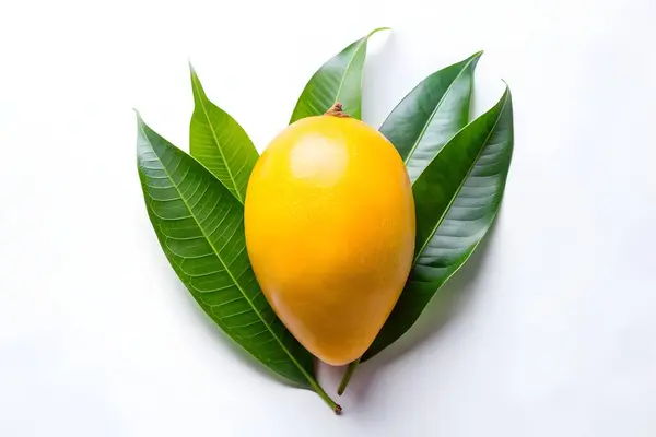 Yeşil yapraklı sarı mango. Beyaz Arka plan taze tropikal meyvelerinde izole edilmiş. Yaz mevsimi