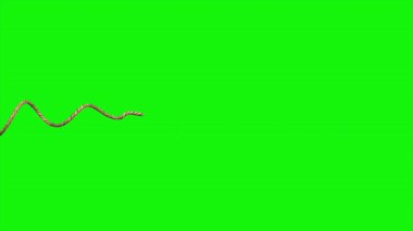 Yeşil Ekranda İp Dalgası Canlandırması