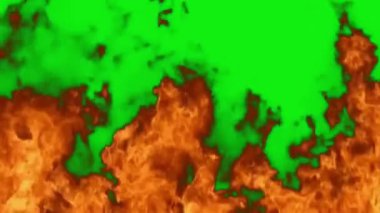 Yeşil Arkaplana Karşı Canlı Alevler (124; Yüksek Kontrastlı Ateş Animasyonu)