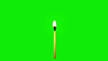 Yeşil Ekranda Yanan Kibrit çöpü - Yüksek Kaliteli Alev Canlandırması