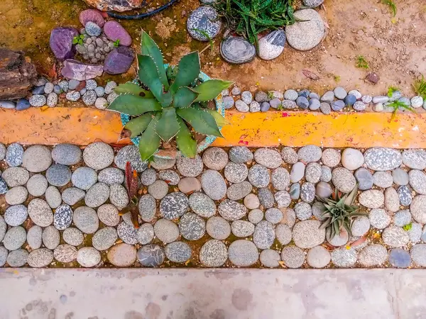 Kaktüs ve Yuvarlak Çakıl Sınırı ile Bahçe Zemin Düzenleme