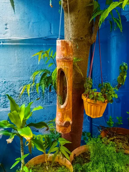 Mavi Duvara Dikey Ağaç Gövdesi Kuş Besleyicisi Bağlandı