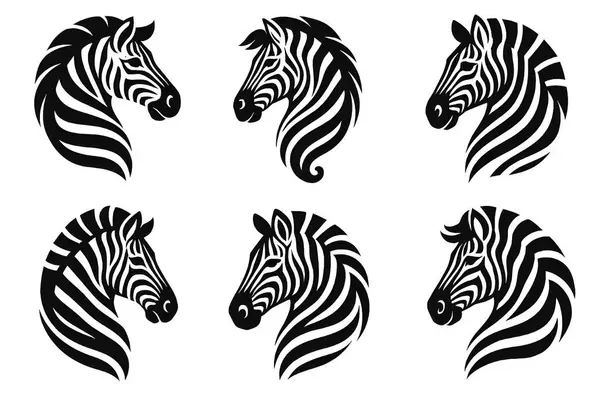 Kabile Zebra Baş Örüntüsü Siyah ve Beyaz Hayvan Vektör Çizimi