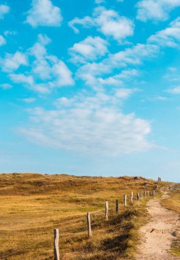 Alman adasının güzel manzarası, Sylt, Marram çimlerinin üzerinde mavi gökyüzünün altında bir patika var.
