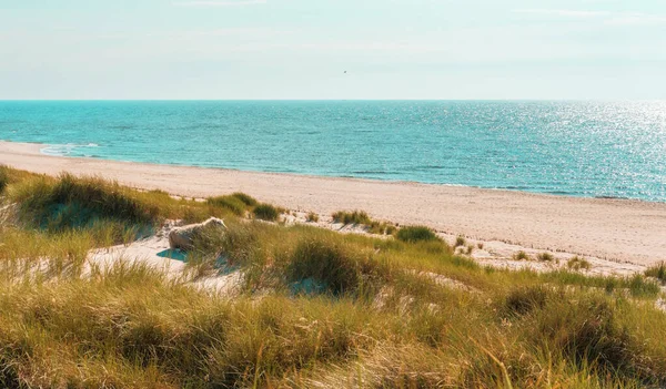 Beautiful nature scenery on Sylt island in North Sea, Germany, with the marram grass dunes and the blue sea water