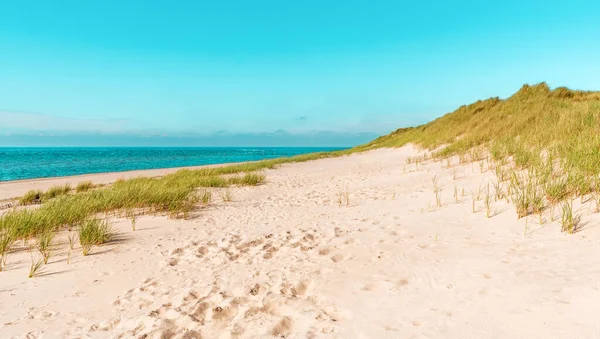 Landscape with the beautiful beach on Sylt island, in North Sea, Germany. Nature scenery with the blue water and the dunes covered in marram grass