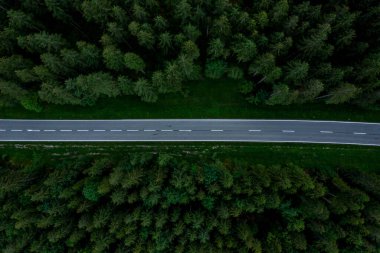 Yukarı Bavyera, Almanya 'da bir çam ormanından geçen bir yol var..