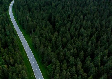 Almanya 'nın Yukarı Bavyera kentindeki bir çam ormanından geçen tek şeritli yolun insansız hava aracı görüntüsü.