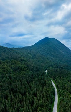 Almanya 'daki Bavyera Alplerinde çam ağaçlarının arasından geçen bir yol.