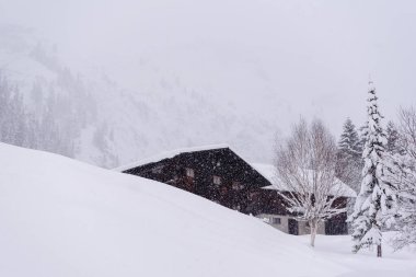 Almanya 'nın Bavyera Alpleri' nde derin karlarla çevrili bir kar fırtınasında alçak açılı bir kulübe.