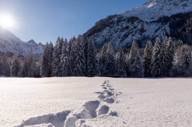 Aralık ayının güneşli bir gününde Bavyera Alpleri vadisinde derin kar altında ayak sesleri