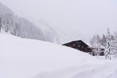 Almanya 'nın Bavyera Alpleri' nde derin karlarla çevrili bir kar fırtınasında alçak açılı bir kulübe.
