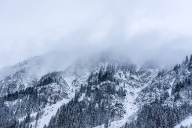 Aralık ayının sisli bir sabahında, Oberstdorf, Almanya 'da Bavyera dağı zirvesi