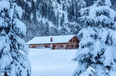 Almanya 'nın Bavyera Alpleri' nde karla kaplı doğa ve kereste kulübesi olan kış manzarası
