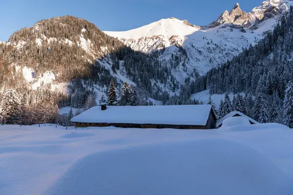 Aralık ayının güzel bir gününde Bavyera Alplerinde karla kaplı kış manzarası