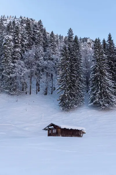 Almanya 'nın Oberstdorf kentindeki kar kaplı kulübesiyle Bavyera Alpleri' nde karlı bir manzara.