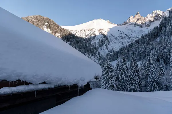 Almanya 'nın Bavyera Alpleri' ndeki güzel kış manzarasında karla kaplı ahşap kulübe