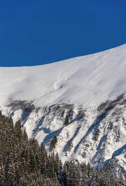 Almanya 'nın Bavyera kentindeki açık mavi gökyüzüne karşı karla kaplı dağ zirvesi