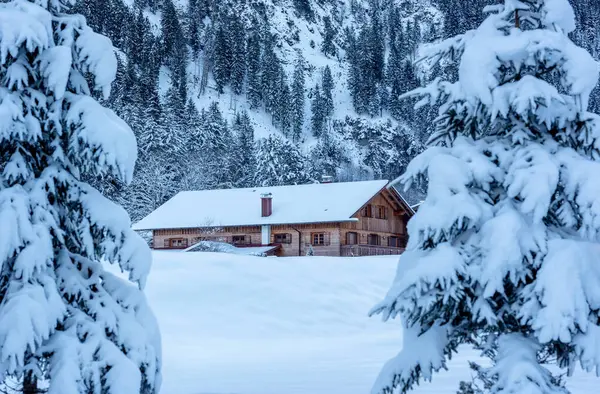 Almanya 'nın Bavyera Alpleri' nde karla kaplı doğa ve kereste kulübesi olan kış manzarası