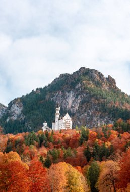 Schwangau, Bavyera, Almanya - 30 Ekim 2021: Neuschwanstein kalesinin alçak açısı, sonbahar ormanı ve Bavyera Alpleri ile çevrili