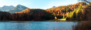 Güneşli bir günde, Bavyera Alpleri 'nde sonbahar manzarası, Alp Gölü ve renkli bir orman. Almanya, Bavyera 'da dağları ve gölü olan Panorama