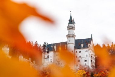 Schwangau, Bavyera, Almanya - 30 Ekim 2021: Neuschwanstein şatosu sonbahar aylarında kapatıldı.