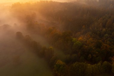 Sis ve insansız hava aracıyla kaplı çok renkli bir sonbahar ormanıyla sabah manzarası.