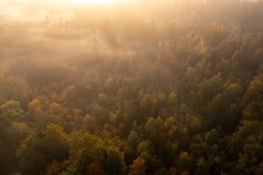 Sisli manzara, İHA hava manzarası, gündoğumunda çok renkli sonbahar ormanı.