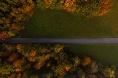 Tek şeritli hava manzaralı yol gündoğumunda sonbahar ormanından geçiyor..
