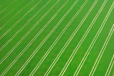 Yeşil tarımsal alanı olan hava manzarası ve mükemmel simetride lastik izleri.