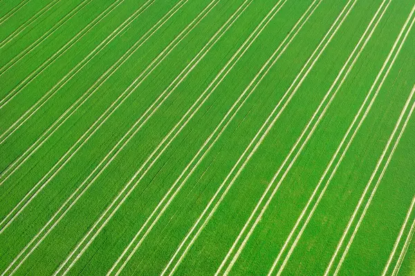 Yeşil tarımsal alanı olan hava manzarası ve mükemmel simetride lastik izleri.