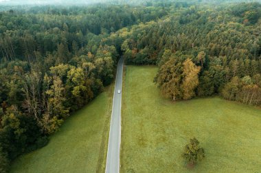 Almanya 'nın Baden Wurttemberg kentindeki yeşil çayır ve ormandan geçen tek şeritli hava aracı görüntüsü
