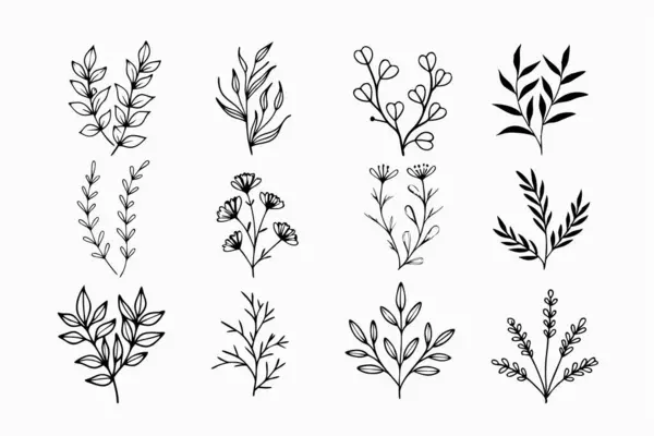 stock vector A set of wildflowers Floral branches and minimalist leaves for logos or tattoos. Hand-drawn line wedding herb, elegant wildflowers. Minimal line art drawing for print, cover, or wallpaper