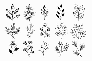 A set of wildflowers Floral branches and minimalist leaves for logos or tattoos. Hand-drawn line wedding herb, elegant wildflowers. Minimal line art drawing for print, cover, or wallpaper clipart