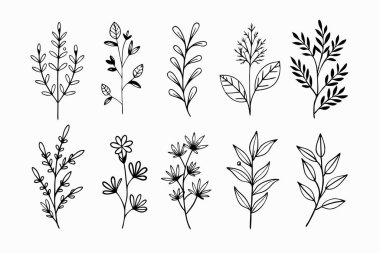 A set of wildflowers Floral branches and minimalist leaves for logos or tattoos. Hand-drawn line wedding herb, elegant wildflowers. Minimal line art drawing for print, cover, or wallpaper clipart