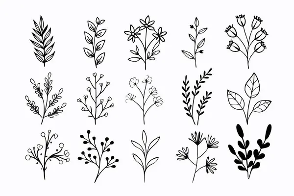 stock vector A set of wildflowers Floral branches and minimalist leaves for logos or tattoos. Hand-drawn line wedding herb, elegant wildflowers. Minimal line art drawing for print, cover, or wallpaper