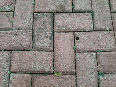 Yıpranmış kaldırım bloğu yüzeyi yaşlanmış dokular, yosun ve büyüleyici renk değişimleri sergiliyor. Kentsel çürüme estetiği ya da doğadan esinlenilmiş projeler, sunumlar ya da yaratıcı çalışmalar tasarlamak için ideal