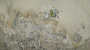 Duvar boyası köpüklü çünkü duvar nemli.