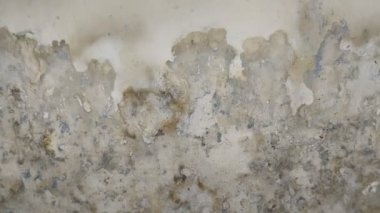 Duvar boyası köpüklü çünkü duvar nemli.