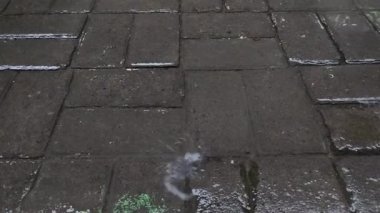 Öğleden sonra kaldırım taşlarına düşen yağmur suyu.